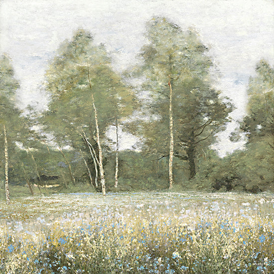 Amber Sterling AS530 - AS530 - A Breath of Untamed Green - 12x12 birch grove, meadow, blue wildflowers, spring, woodland, airy landscape from Penny Lane