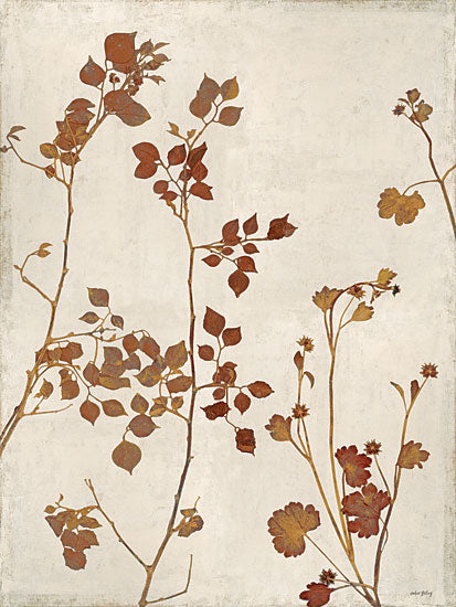 Amber Sterling AS579 - AS579 - Shades of Rust - 12x16 botanical pressed leaves neutral background minimalist floral branches earthy tones from Penny Lane