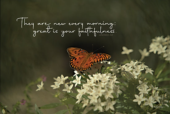 Susie Boyer BOY783 - BOY783 - Great is Your Faithfulness - 18x12 butterfly on white flowers, scripture verse, nature photography, inspirational message, Lamentations 3:23 from Penny Lane