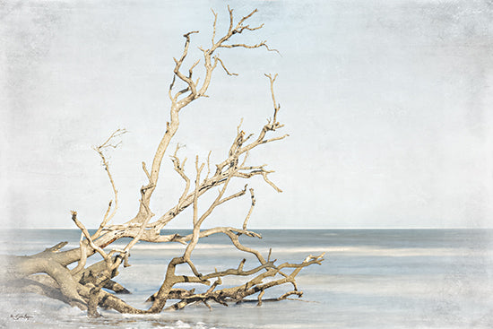 Susie Boyer BOY803 - BOY803 - Driftwood on the Shore     - 18x12 coastal driftwood, beach scene, ocean waves, washed up tree, seaside nature, tranquil seascape, minimal composition from Penny Lane