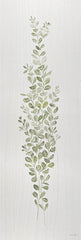 CIN4355 - Eucalyptus Spray II - 12x36