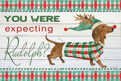 CIN4543 - You Were Expecting Rudolph? - 18x12
