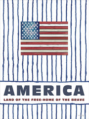 CIN4673 - America - 12x16