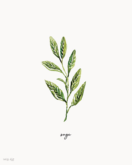 Cindy Jacobs CIN4710 - CIN4710 - Sage Herb - 12x16 sage, sage sprig, fresh sage leaves, culinary herb, green herb, watercolor botanical, hand painted herb study, kitchen ingredient, garden herb, aromatic leaves, white background, minimal herb art, farmhouse kitchen print, simple greenery, cooking herb, botanical illustration, organic food decor, herb label, edible herb, fresh picked sage from Penny Lane