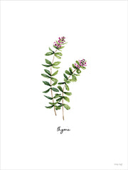 CIN4718 - Thyme Herb - 12x16