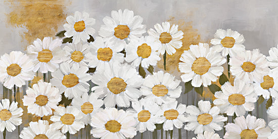 Cat Thurman Designs CTD160 - CTD160 - Daisy Field    - 18x9 white daisies painting, painterly brush strokes, neutral floral art, farmhouse flower wall decor, contemporary botanical, rustic bloom from Penny Lane