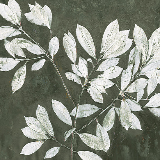 Dogwood Portfolio DOG322 - DOG322 - Pressed Leaves - 12x12 green leaves, artistic leaves, textured background, botanical, foliage, natural decor, white leaves, rustic, earth tones, nature-inspired from Penny Lane