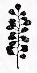 DOG334 - Ebony Leaves II - 9x18