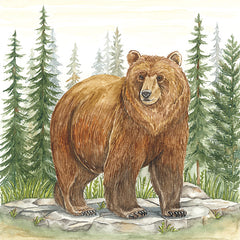 DS2401 - Grizzly Bear in Forest - 12x12