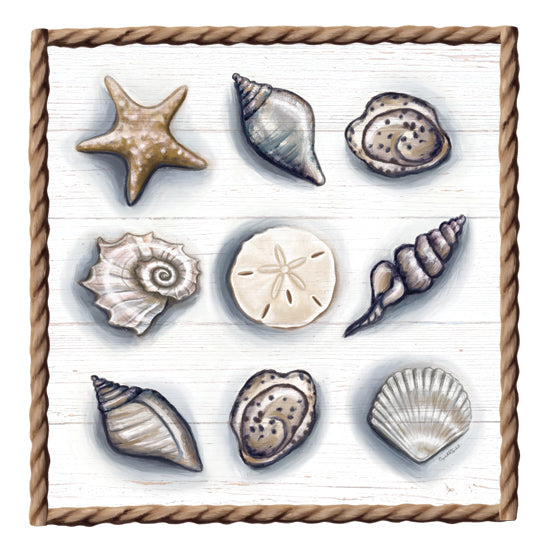 Elizabeth Tyndall ET324 - ET324 - Beach Shells II - 12x12 Coastal, Beach Shells, Seashells, Sand Dollar, Starfish, Rope Border from Penny Lane