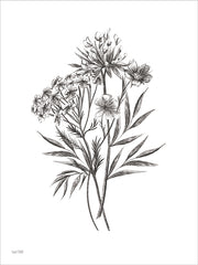 FEN1290 - Wildflower Sketch I - 12x16