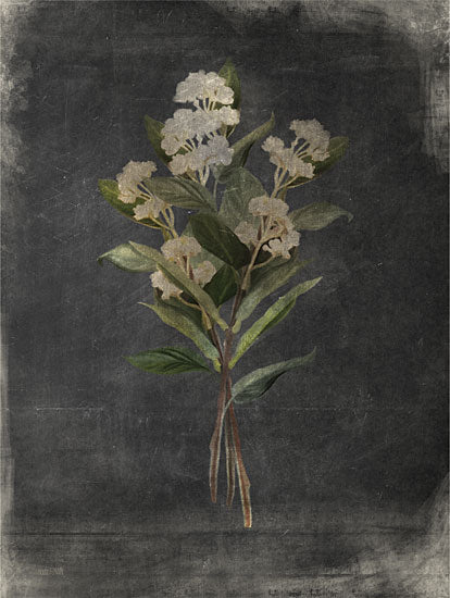 House Fenway FEN944 - FEN944 - Gilded Yarrow - 12x16 botanical illustration, white blossoms, flowering branch, green leaves, vintage botanical print, moody background, dark textured backdrop, floral stem, delicate blooms, nature study, antique style, minimal composition, rustic floral art, soft painterly texture from Penny Lane
