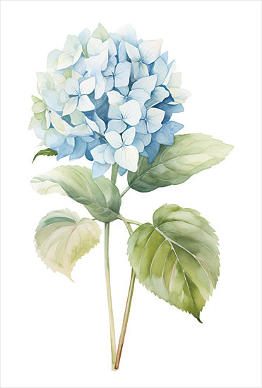 Heidi Kuntz HK353 - HK353 - Blue Hydrangea Bloom   - 12x18 Blue hydrangea, botanical illustration, watercolor floral, detailed leaves, single bloom from Penny Lane