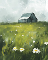 HK468 - Daisy Field   - 12x16
