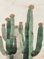 HK478 - Cactus Cluster   - 12x16