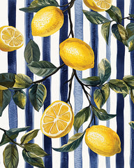 HK492 - Lemons on Stripes 2   - 12x16