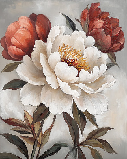 Heidi Kuntz HK619 - HK619 - Crimson and Cream Peonies I - 12x16 white peony, red peonies, floral painting, bouquet, soft neutral background, botanical art, romantic flowers, painterly style, brush strokes, spring bloom, elegant petals, muted tones, nature decor, farmhouse floral from Penny Lane