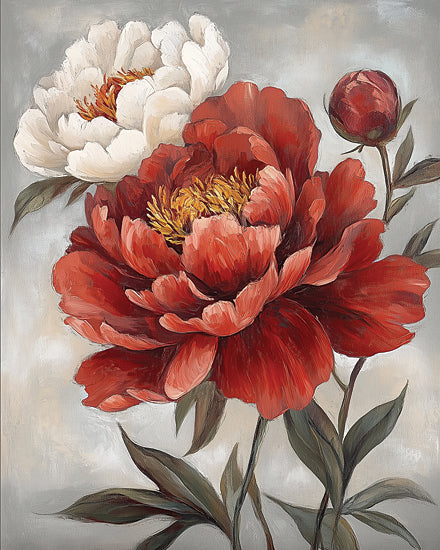 Heidi Kuntz HK620 - HK620 - Crimson and Cream Peonies II - 12x16 red peony, white peony, floral painting, large blossom, botanical art, soft gray background, romantic bouquet, painterly texture, brush strokes, nature decor, spring flowers, elegant petals, feminine wall art from Penny Lane