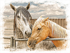 JGS586 - Horse Friends - 16x12