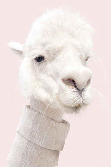 Kamdon Kreations KAM1027 - KAM1027 - Woolly - 12x18 alpaca, llama, farm animal, fluffy white, animal portrait, photography style, neutral tones, pastel pink background, cute, whimsical, modern farmhouse, nursery decor, juvenile, feminine, soft texture, minimal from Penny Lane