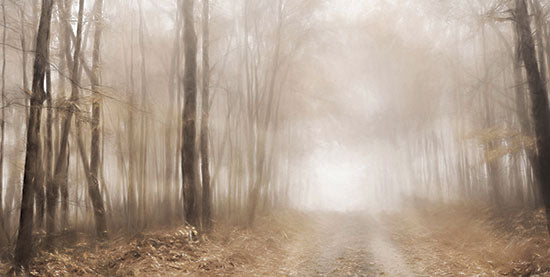 Lori Deiter LD3247 - LD3247 - Dreamy Forest - 18x9 foggy forest, misty woods, woodland path, dirt road, trees, bare trees, early morning fog, atmospheric landscape, moody, neutral tones, soft light, tranquil, quiet nature scene, countryside path, dreamy, minimalist, painterly, brush strokes, nature, trees, landscape from Penny Lane
