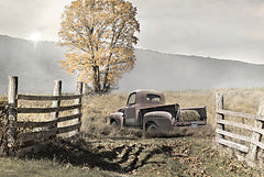 LD3275 - Virginia Countryside in Autumn    - 18x12