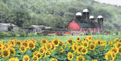 LD3345 - Sunflower Farm - 18x9