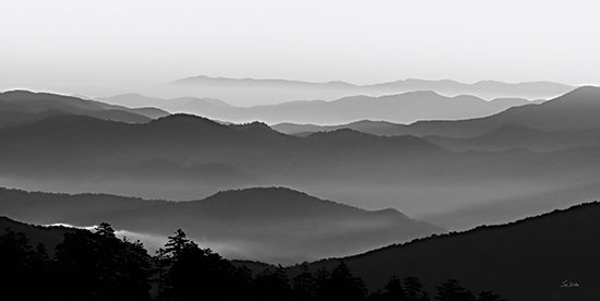 Lori Deiter LD3351 - LD3351 - Smoky Mountain Views I - 18x9 Photography, Landscape, Mountains, Smoky Mountains, Trees, Black & White from Penny Lane