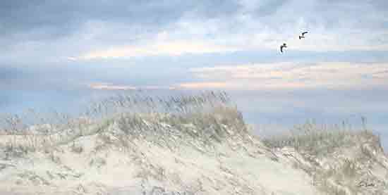 Lori Deiter LD3458 - LD3458 - Sea Gulls over the Sand Dunes - 18x9  sand dunes, beach grass, sunset sky, coastal birds, soft clouds, seashore, ocean breeze, scenic coast, peaceful nature, painterly style from Penny Lane