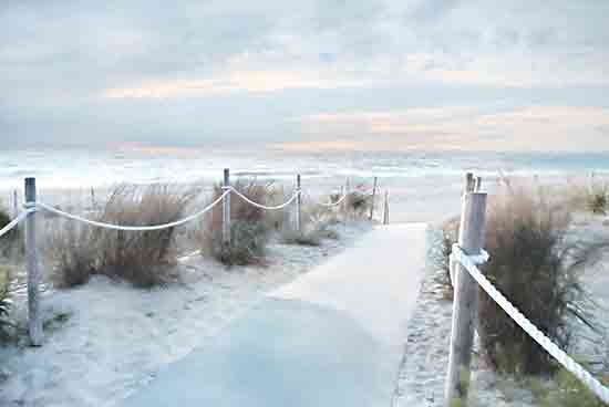 Lori Deiter LD3459 - LD3459 - Beach Path - 18x12 Photography, Landscape, Coastal, Path, Posts, Rope, Beach, Sand, Beach Grass, Ocean, Sky, Clouds from Penny Lane