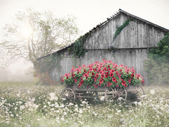 LD3616 - Old Country Barn - 16x12