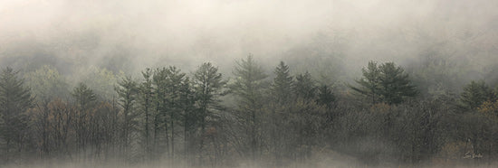 Lori Deiter LD3693 - LD3693 - Misty Morning Trees - 36x12 fern leaves, botanical, intricate leaf pattern, green foliage, natural texture, garden scene, detailed plant close-up from Penny Lane
