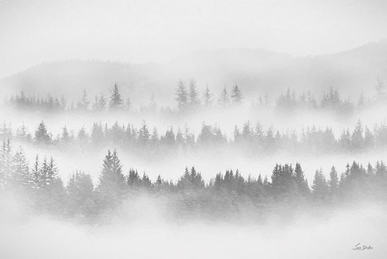 Lori Deiter LD3694 - LD3694 - Whispering Forest - 18x12 misty evergreen forest, fog layers, mountain haze, minimalist nature, neutral tones, tranquil landscape, atmospheric, woodland, soft focus, painterly, calming scenery from Penny Lane