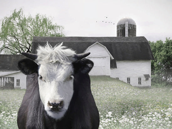 Lori Deiter LD3708 - LD3708 - The Beauty of Black and White - 16x12 black and white cow portrait, close-up farm animal, fluffy white forelock, horns, barn and silo background, spring meadow, white wildflowers, rural countryside, farmhouse, pastoral scene, green field, overcast sky, birds flying, painterly texture, soft brush strokes, modern farmhouse decor, rustic charm from Penny Lane
