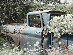 LD3771 - Rust Bucket Blooms - 16x12