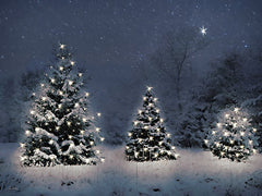 LD3840 - Twinkling Christmas Trees - 16x12