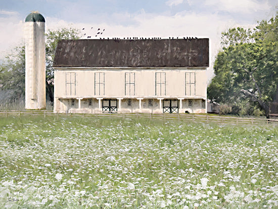 Lori Deiter LD3894 - LD3894 - Barn Top Buddies - 16x12 white farmhouse building, tall silo, birds on roof, green meadow, rural farm scene, painterly brush strokes, soft pastel sky, countryside landscape, rustic charm, spring field, modern farmhouse aesthetic, peaceful pastoral, open space, nature, outdoors from Penny Lane