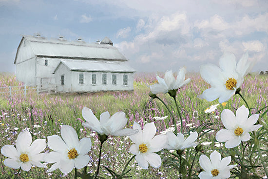 Lori Deiter LD3938 - LD3938 - A Moment of Peace - 18x12 white barn, farmhouse, spring meadow, wildflowers, white cosmos daisies, lavender field, green grass, blue sky, soft clouds, rustic countryside, pastoral, serene, light airy, New England farm, modern farmhouse style, floral foreground, botanical, summer field from Penny Lane