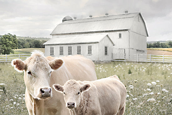 Lori Deiter LD3981 - LD3981 - A Gentle Bond - 18x12 white cow, calf, white barn, green pasture, fence, soft farmhouse background, mother and baby cow, charolais cattle, spring field, wildflowers, gentle livestock portrait, pastoral farm scene, rural motherhood, modern farmhouse decor, painterly animal art from Penny Lane
