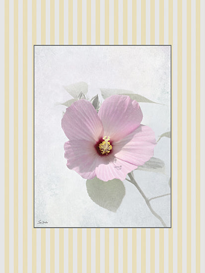 Lori Deiter LD4011 - LD4011 - Blooms and Birds Set II - 12x16 purple hibiscus, botanical flower, close-up bloom, soft pastel petals, natural beauty, macro floral, botanical art, pale background, green leaves from Penny Lane