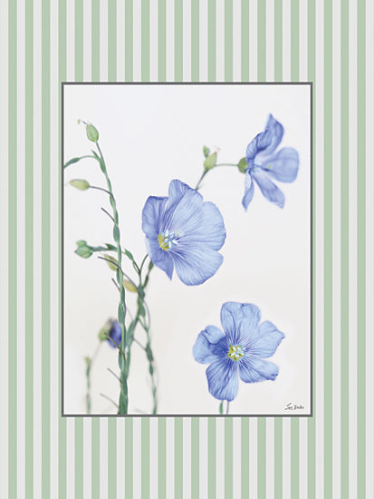 Lori Deiter LD4013 - LD4013 - Blooms and Birds Set IV - 12x16 blue flax flowers, wildflowers, delicate petals, green stems, botanical illustration, pastel floral art, light background, natural elegance from Penny Lane