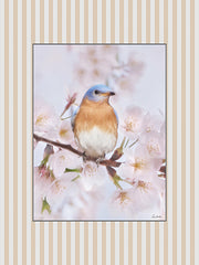 LD4014 - Blooms and Birds Set V - 12x16