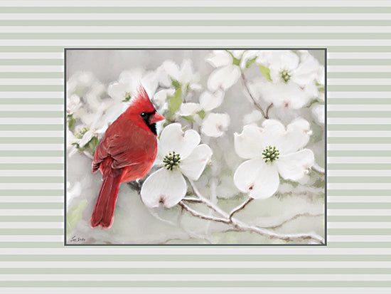Lori Deiter LD4016 - LD4016 - Cardinal in Spring - 16x12 cardinal bird, red bird on white blossoms, dogwood flowers, springtime nature, wildlife art, colorful bird, natural beauty, soft focus painting from Penny Lane