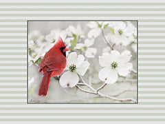 LD4016 - Cardinal in Spring - 16x12