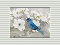 LD4017 - Indigo Bunting in Spring - 16x12