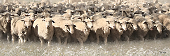 Lori Deiter LD4071 - LD4071 - The Woolly Crowd - 36x12 flock of sheep, herd of sheep, farm animals, livestock, pastoral scene, countryside, meadow grass, rural, country farm, wool, grazing, animals, rustic, muted tones, painterly, brush strokes, panoramic from Penny Lane
