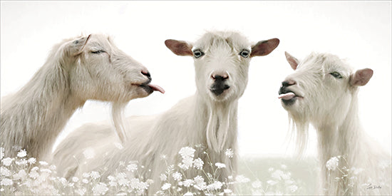 Lori Deiter LD4089 - LD4089 - Barnyard Bad Boys - 18x9 three white goats, playful goats, tongues out, floral field, humorous farm animal portrait, white background, whimsical livestock, country pasture, spring wildflowers, goat trio, light farmhouse art, funny animal expressions, painterly texture, charming barnyard decor from Penny Lane