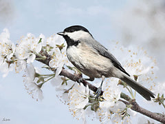 LD4195 - Chickadee's Perch II - 16x12