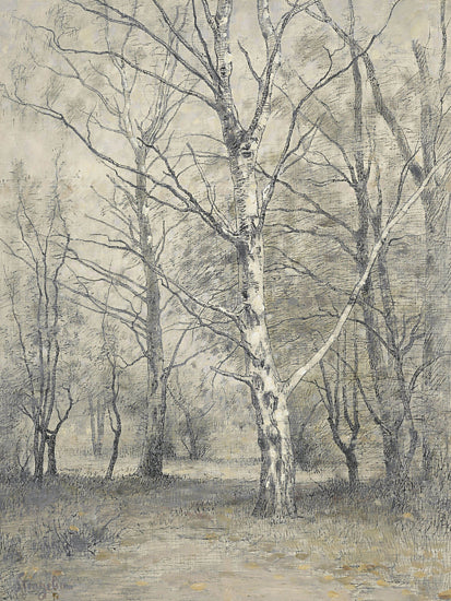 lettered & lined LET1357 - LET1357 - Trees in Winter II    - 12x16 pencil forest sketch, birch trees, hand drawn landscape, bare trees, early spring mood, scenic rendering, classic technique from Penny Lane
