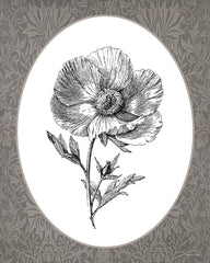 LET1375 - Vintage Botanical I - 12x16